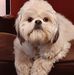 Ralph Gorman - Facebook