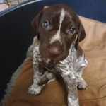 @ralph_grant_2022 - Instagram