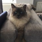 Ralph Grant - @ralphkitty - Instagram