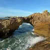 ralph_gray5 - @ralph_gray5 - TikTok