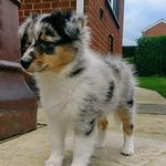 Ralph Griffiths - @wreck_it_ralph_1234 - Instagram