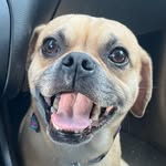 Ralph Gutowski - @ralphtowski - Instagram