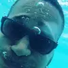 Ralph Guzman Felix - @ralphguzmanfelix - TikTok