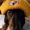 ralphharless - @steelers2019 - TikTok