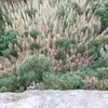 Ralf Hauser - @ralf.hauser7 - TikTok