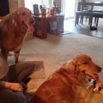 Ralph Hendricks - @hendricksralphralph2747 - Instagram