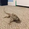 ralphhines163 - @ralphhines163 - TikTok