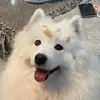 Ralph Holmes - @ralph.holmes56 - TikTok