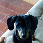 Ralph Hooper - @ralphhooper9 - Instagram