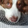 ralphhunn401 - @ralphhunn401 - TikTok