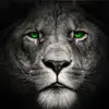 ralphhutchins807 - @ralphhutchins807 - TikTok