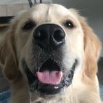 Ralph Isaac Newton - @ralph_thegoldenboy - Instagram