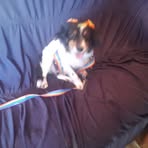 Ralph Jacobs - Facebook