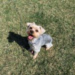 ralph jacobs - @_ralphjacobs - Instagram