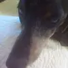 ralphjacobs678 - @ralphjacobs678 - TikTok