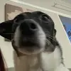 ralphjameison - @ralphjameison - TikTok