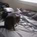 Ralph Jeffries - Facebook