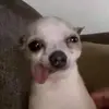 jooooo - @jonasralph - TikTok
