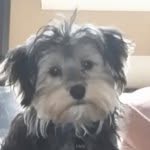Ralph Kaye - @ralphbkaye - Instagram