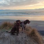 Ralph Keenan - @ralphkeenan50 - Instagram