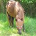 Ralph Kemper - Facebook
