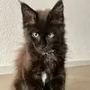 Ralph - @ralphpenker - TikTok
