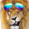 ralphkirchner561 - @ralphkirchner561 - TikTok