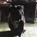 Ralph Knapp - Facebook