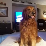 Ralph Knapp - @knappralph - Instagram