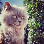 Ralph Knott - @ralle2108 - Instagram