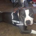 Ralph Knotts - @ral9269 - Instagram