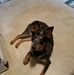Ralph Knotts - Facebook