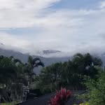 Ralph Kravitz - @ralphkravitz - Instagram
