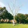 Ralph Lam - @ralphlam - TikTok