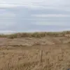ralphlambertsen44 - @ralphlambertsen51 - TikTok
