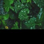 @ralph_lambert5 - Instagram