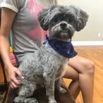 🐶 r a l p h  l a w s o n 🐶 - @ralphlawson0424 - Instagram