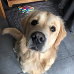 Chris Leach - @ralphleach2019 - Instagram