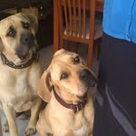 Ralph Alister Leach - @ralphalisterleach - Instagram