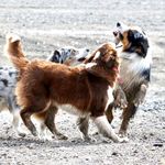 Ralph Lederer - @ralphledererphotography - Instagram