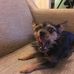 Ralph Leslie - Facebook