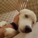 @ralph.liradealmeidasilva - Instagram