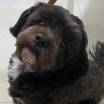Ralph Isidoro Lira - @aventurasderalph - Instagram