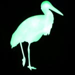 Heron & Crane - @ralph_london23 - Instagram