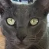 ralphlowery147 - @ralphlowery147 - TikTok
