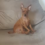 Lucky Strike e Ralph Lauren  Batuli - @luckyralphbatuli - Instagram