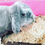 Lucky/ralph - @o.lucky.ralph - Instagram