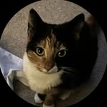 Ralph - @ralph.lyon19932 - Instagram
