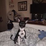 Ralph Malbrough - @malbroughralph591 - Instagram