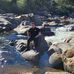 Rafael Marroquin - Facebook